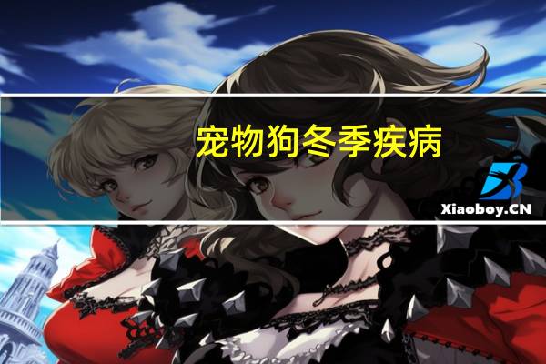 宠物狗冬季疾病