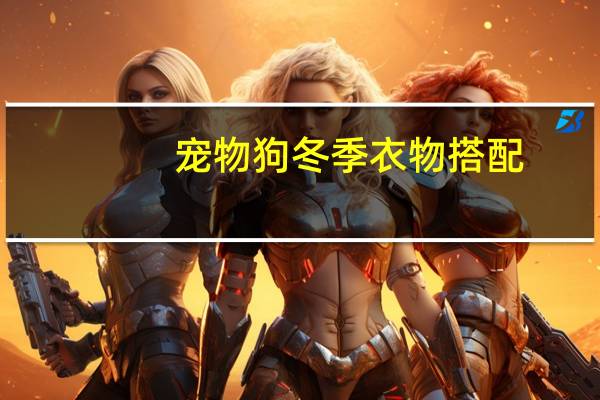 宠物狗冬季衣物搭配