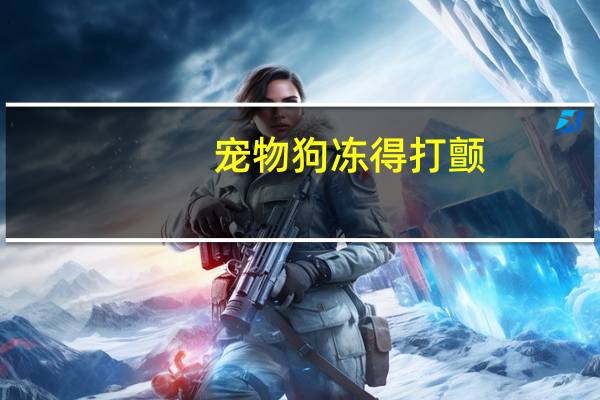 宠物狗冻得打颤
