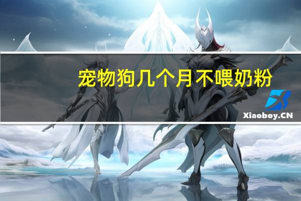 宠物狗几个月不喂奶粉