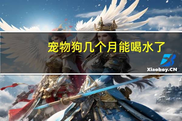宠物狗几个月能喝水了