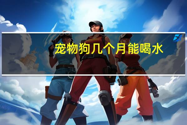 宠物狗几个月能喝水