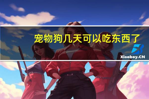 宠物狗几天可以吃东西了