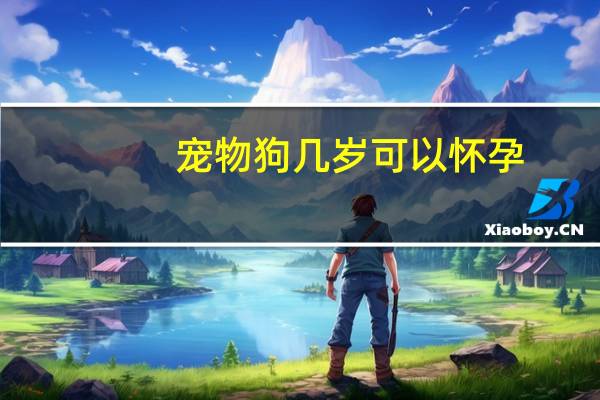 宠物狗几岁可以怀孕