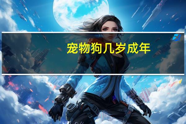 宠物狗几岁成年