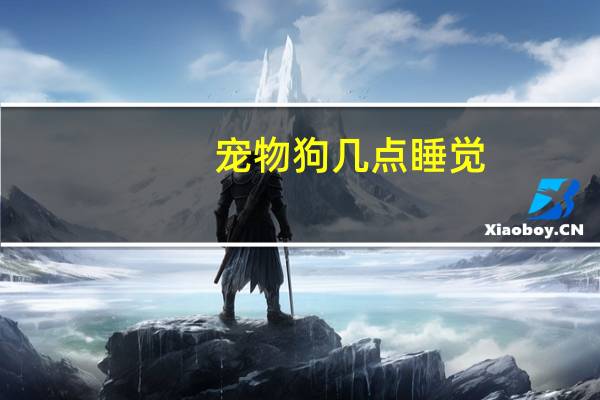 宠物狗几点睡觉