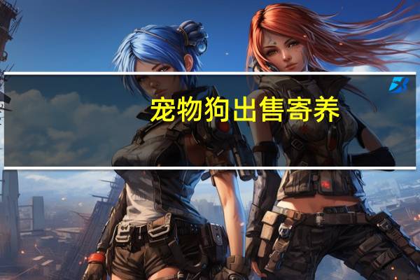 宠物狗出售寄养