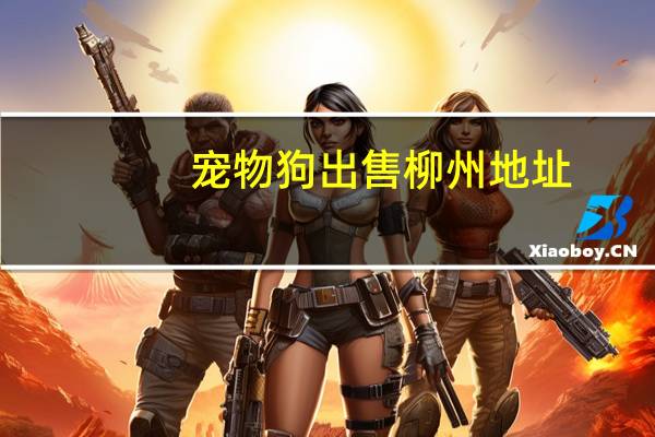宠物狗出售柳州地址