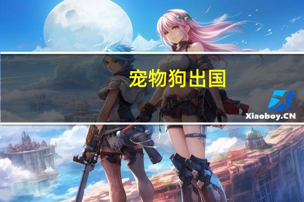宠物狗出国