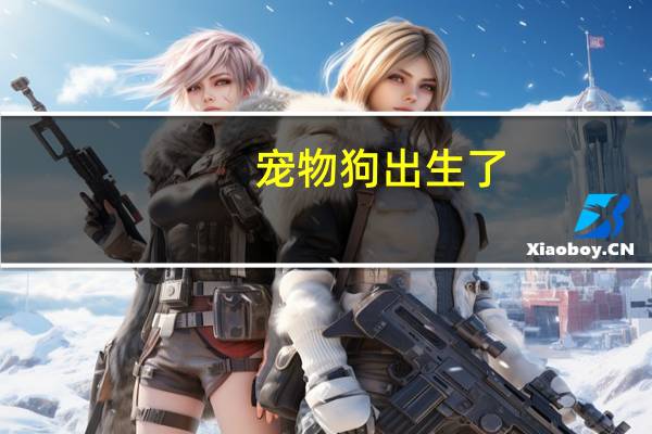 宠物狗出生了