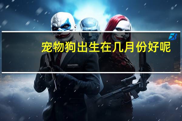 宠物狗出生在几月份好呢