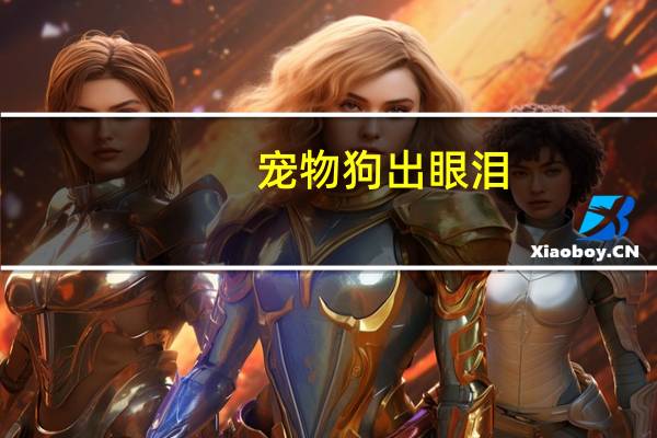宠物狗出眼泪
