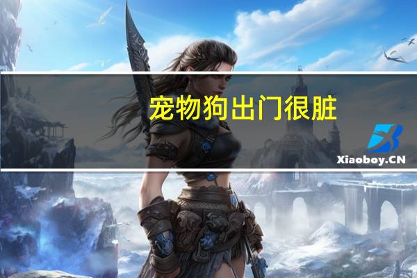 宠物狗出门很脏