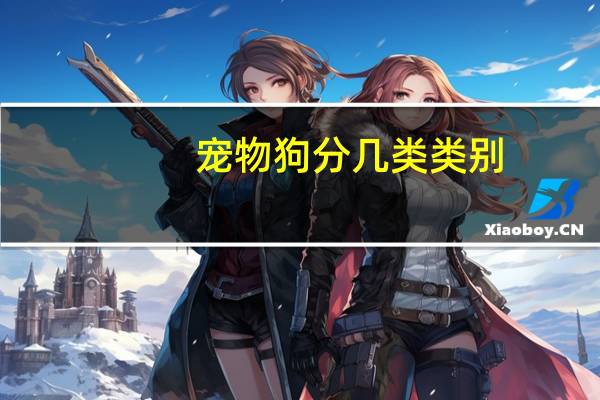 宠物狗分几类类别