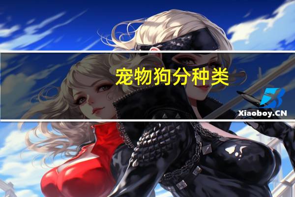 宠物狗分种类