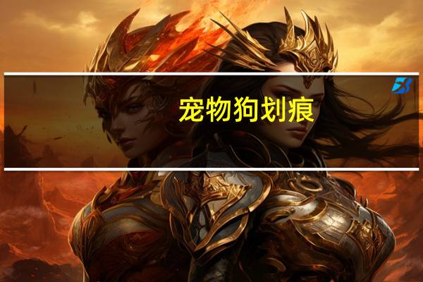 宠物狗划痕