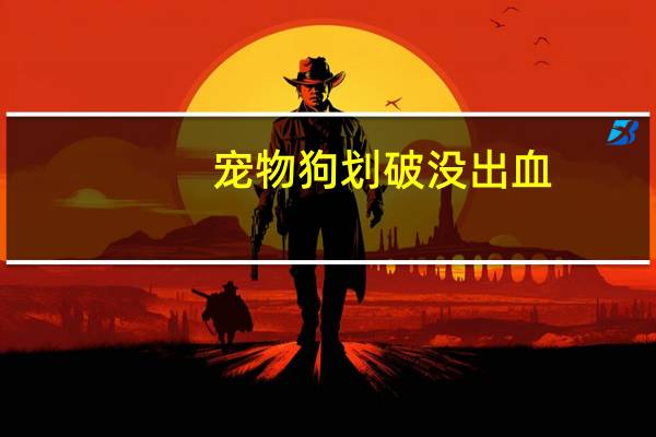 宠物狗划破没出血