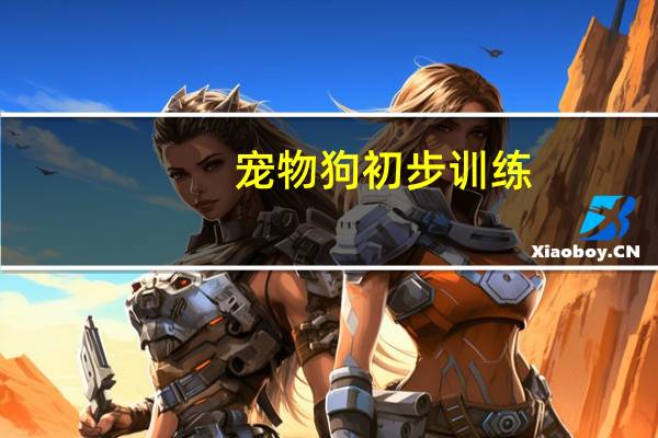宠物狗初步训练