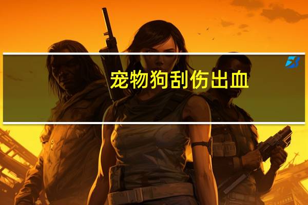 宠物狗刮伤出血
