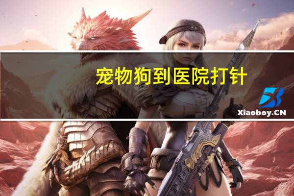 宠物狗到医院打针