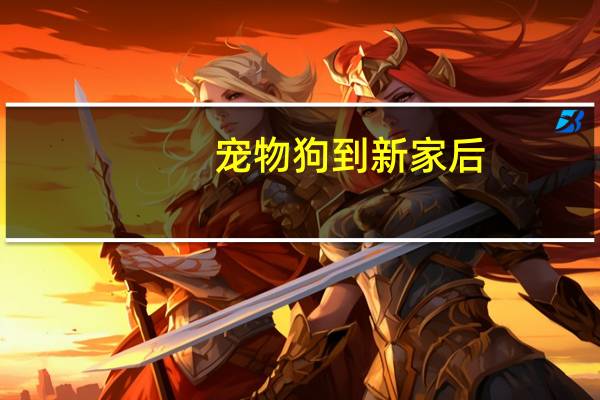 宠物狗到新家后
