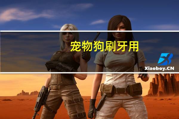 宠物狗刷牙用