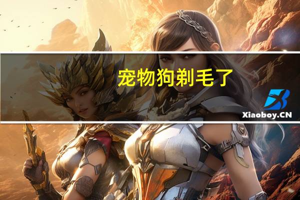 宠物狗剃毛了