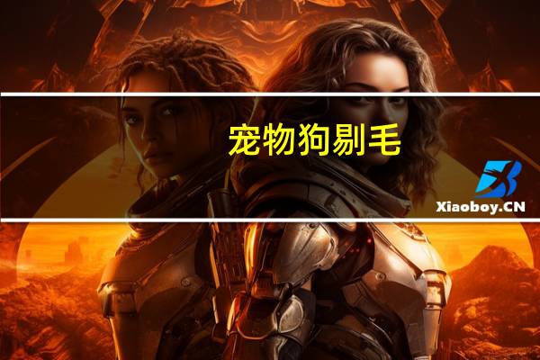 宠物狗剔毛