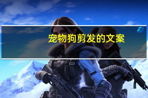 宠物狗剪发的文案