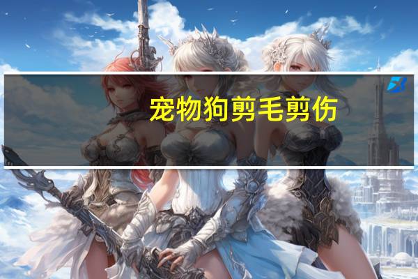 宠物狗剪毛剪伤