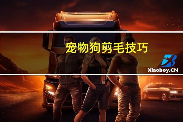 宠物狗剪毛技巧