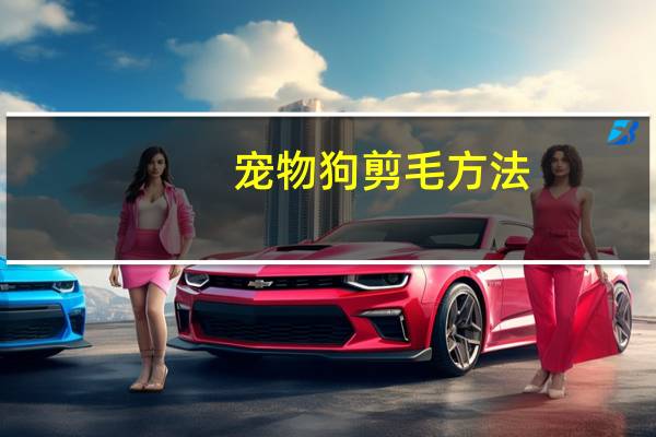 宠物狗剪毛方法