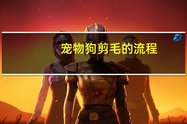 宠物狗剪毛的流程