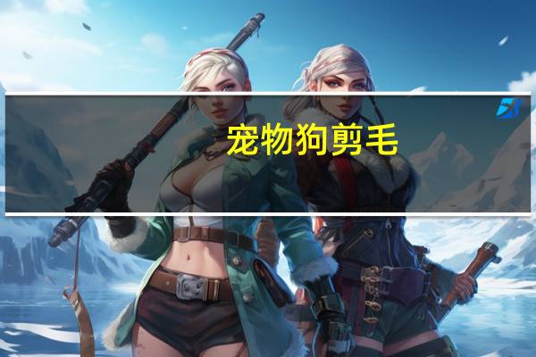 宠物狗剪毛