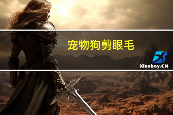 宠物狗剪眼毛