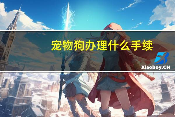 宠物狗办理什么手续