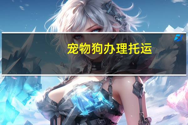 宠物狗办理托运