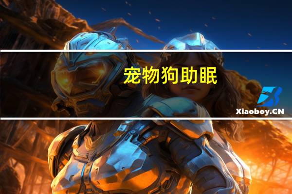 宠物狗助眠