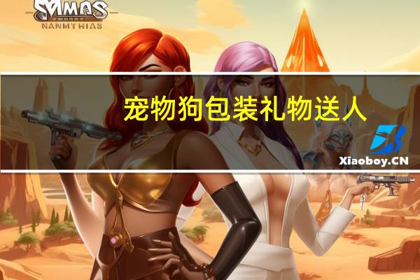 宠物狗包装礼物送人