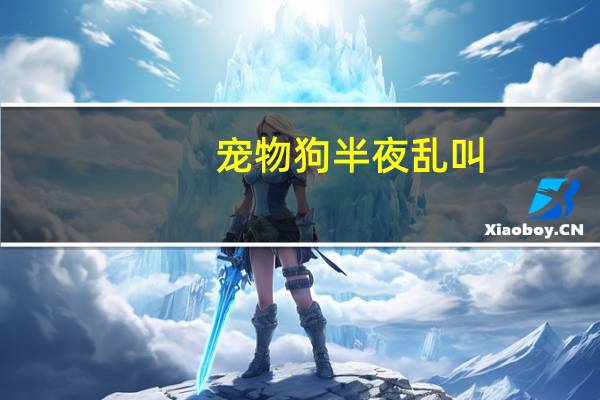 宠物狗半夜乱叫