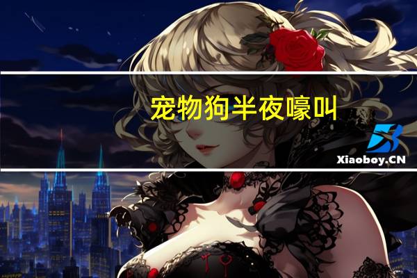 宠物狗半夜嚎叫