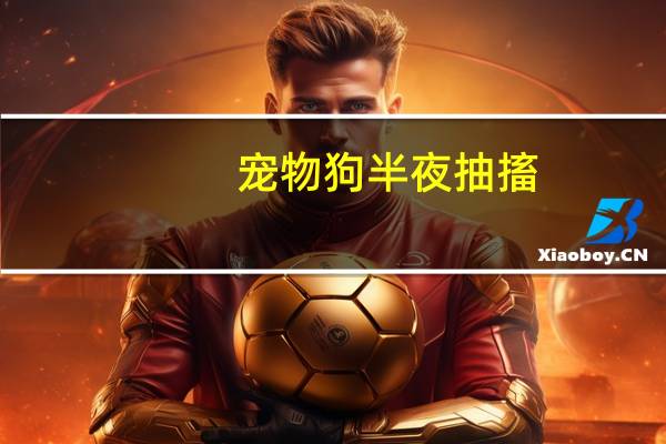 宠物狗半夜抽搐