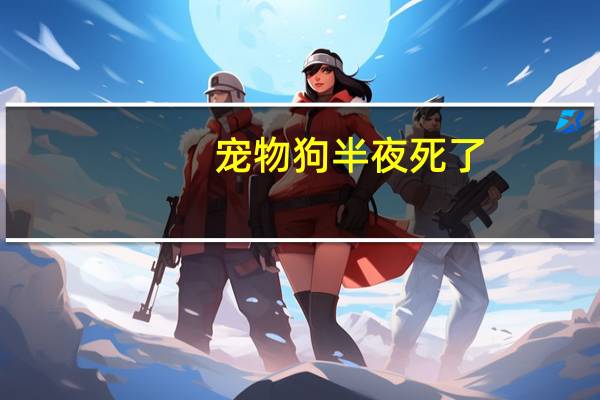 宠物狗半夜死了