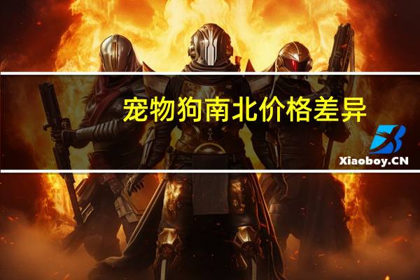 宠物狗南北价格差异