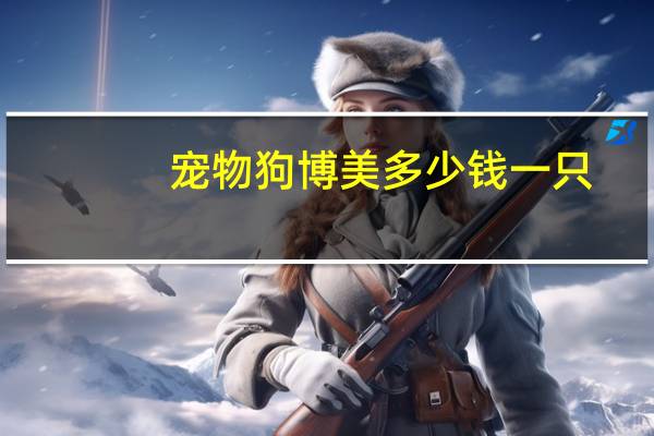 宠物狗博美多少钱一只