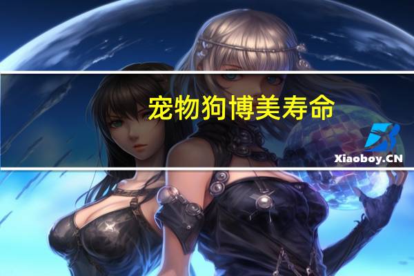 宠物狗博美寿命