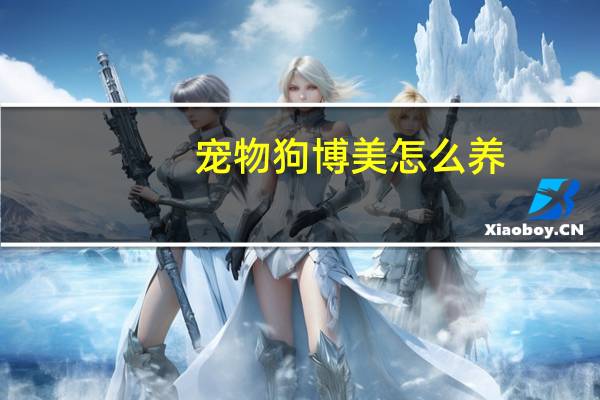 宠物狗博美怎么养