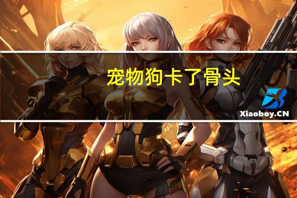 宠物狗卡了骨头