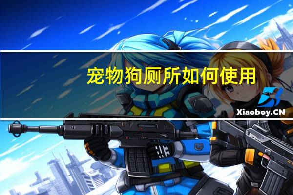 宠物狗厕所如何使用