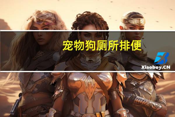 宠物狗厕所排便